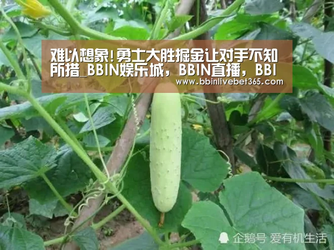 难以想象!勇士大胜掘金让对手不知所措_BBIN娱乐城,BBIN直播,BBIN登录,BBIN百家乐(图2) BBIN娱乐城,BBIN直播,BBIN登录,BBIN百家乐